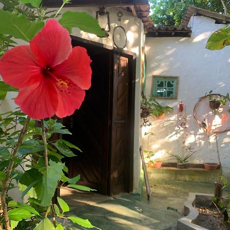 Вілла Conjunto Sol Roots Praia de Pipa Екстер'єр фото